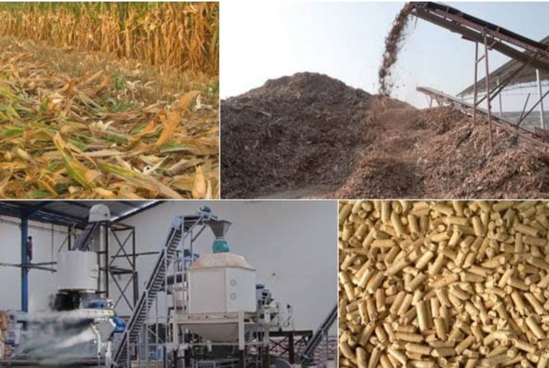 Biomass Plant