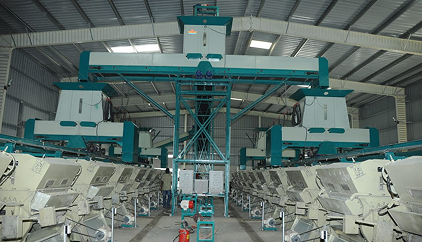 Cotton Ginning Plant